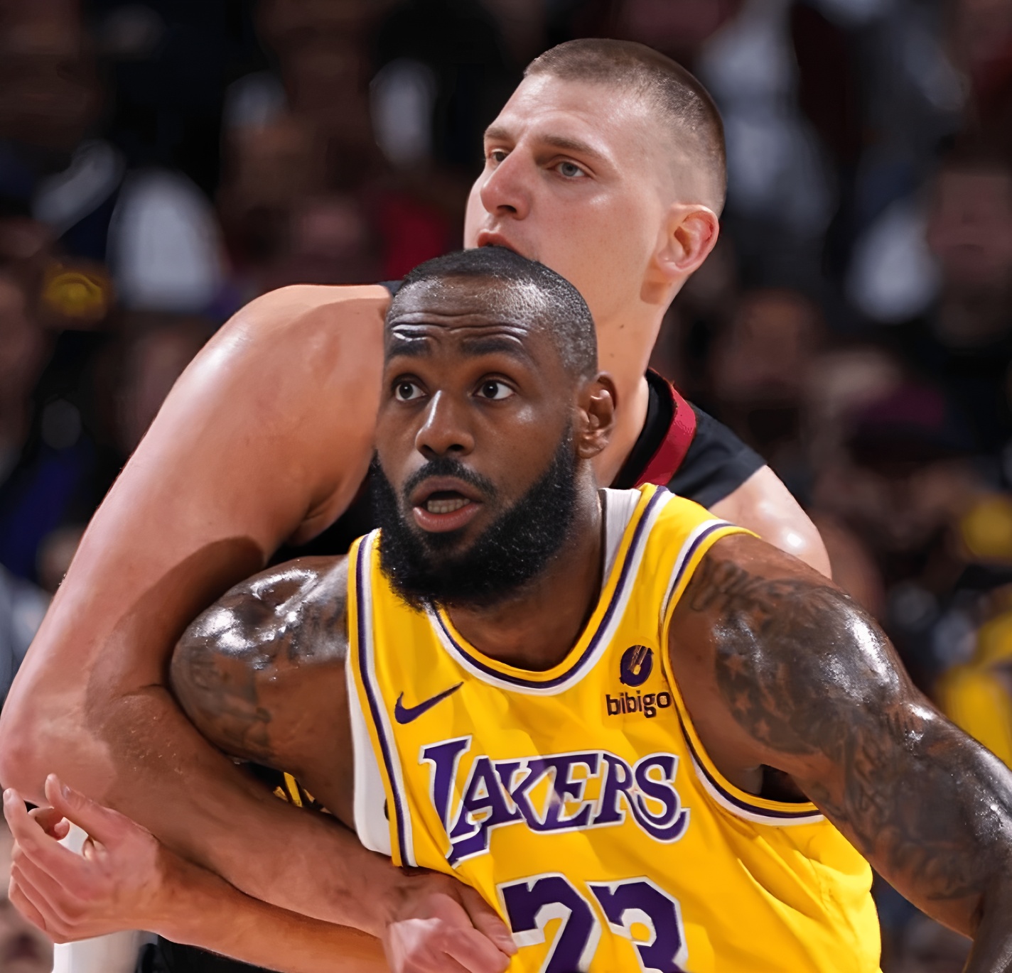 冲刺阶段夏洛特黄蜂备战CBA季后赛，手感冰凉细节曝光，信心回归，医务组通报恢复的简单介绍